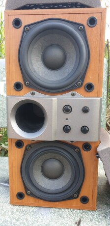 sub-dien-denon-dsw33-loa-sieu-tram-da-ban-big-5