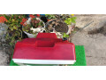 tivi-den-trang-national-perfection-s-1438-b-small-0