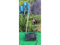 sony-sw22-radio-nho-gon-da-nang-chuan-nhat-small-2