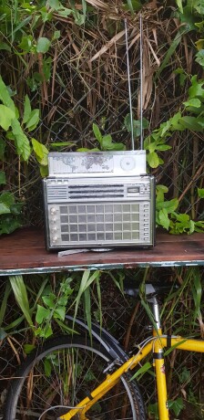 san-xuat-nam-1959-dam-chat-vintage-gia-tri-suu-tam-big-5