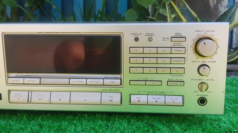 dau-dat-pioneer-d-50-big-1