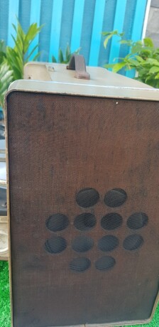 general-electric-khung-long-my-sieu-hiem-phong-cach-co-dien-sang-trong-big-6