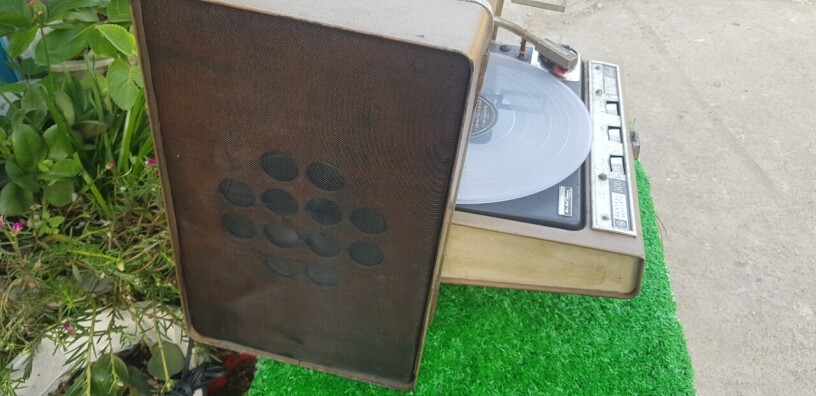 general-electric-khung-long-my-sieu-hiem-phong-cach-co-dien-sang-trong-big-4