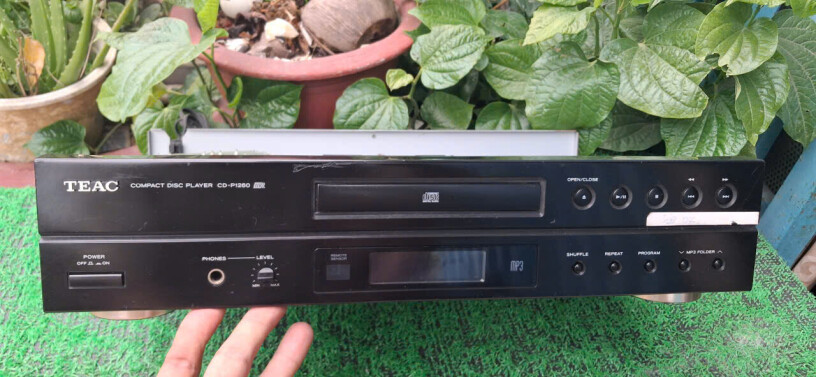 dau-doc-teac-cd-p1260-big-2